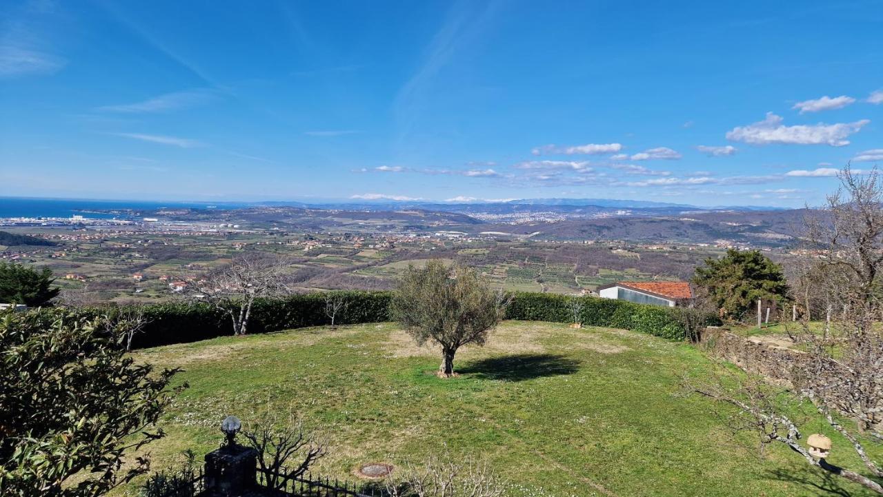 Apartma PANORAMA Marezige Bagian luar foto